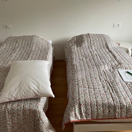 Apartma Sava-Stol 예세니체 외부 사진