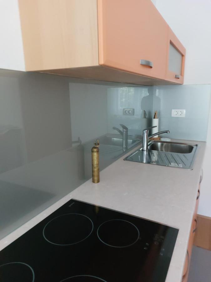 Apartma Sava-Stol 예세니체 외부 사진